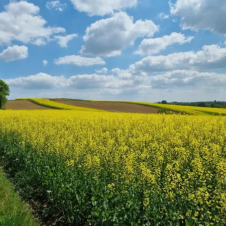 Panorama - Blisko Energylandii Bachowice