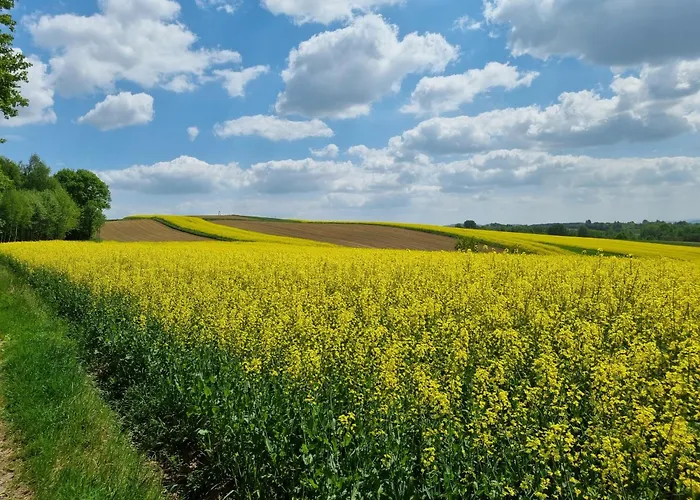 Panorama - Blisko Energylandii Bachowice